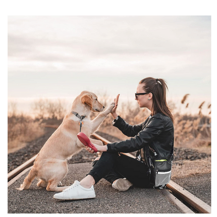 Hondensnoep zakje gebruikt door vrouw met hond
