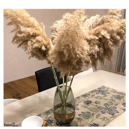 Wilde Pampas pluimen 70 cm lang 10 stuks – Pampasgras – Droogbloemen